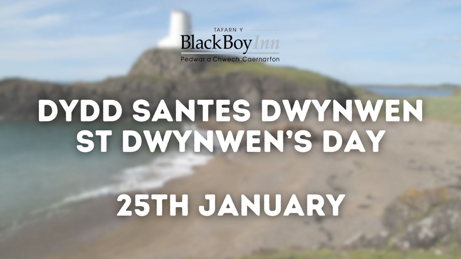 St Dwynwen’s Day (Blog Banner) (1) St Dwynwen's Day 25th January graphic over castle background - Black Boy Inn