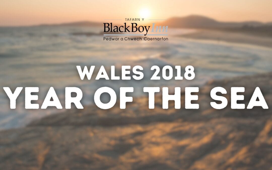 2018 – The Year of the Sea