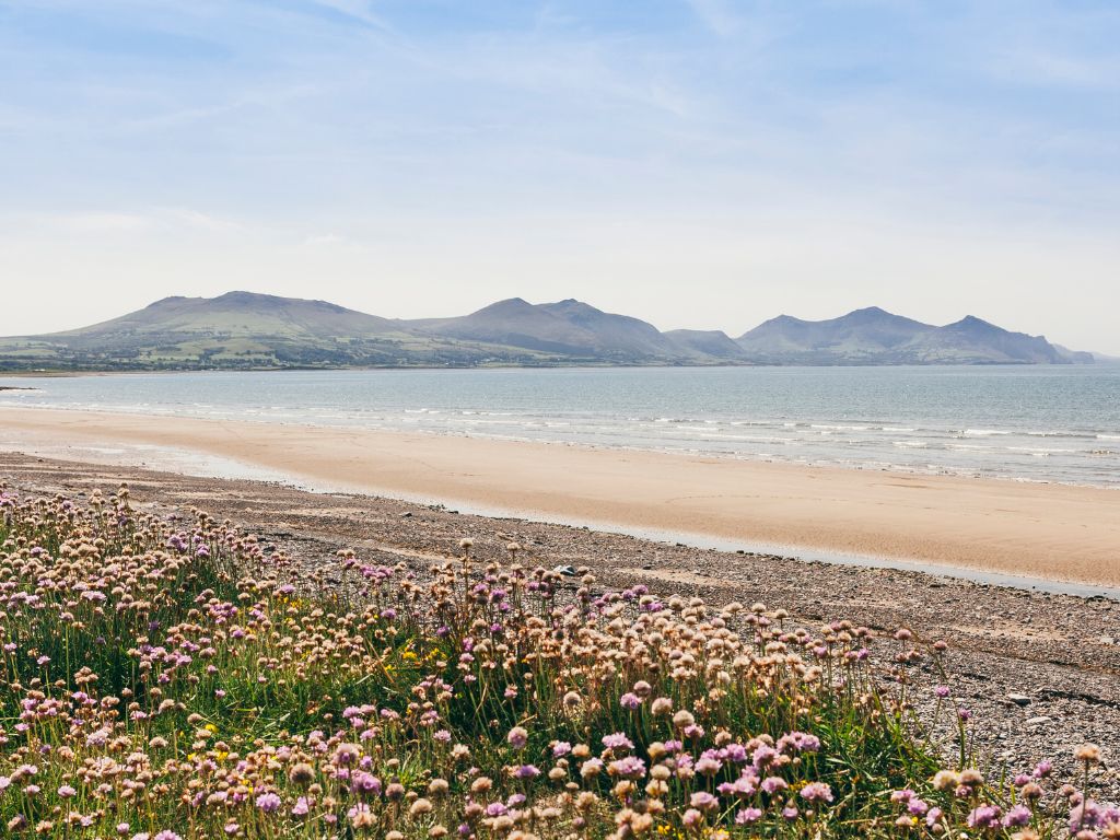 Dinas Dinlle