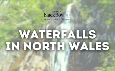 Chasing Waterfalls in North Wales