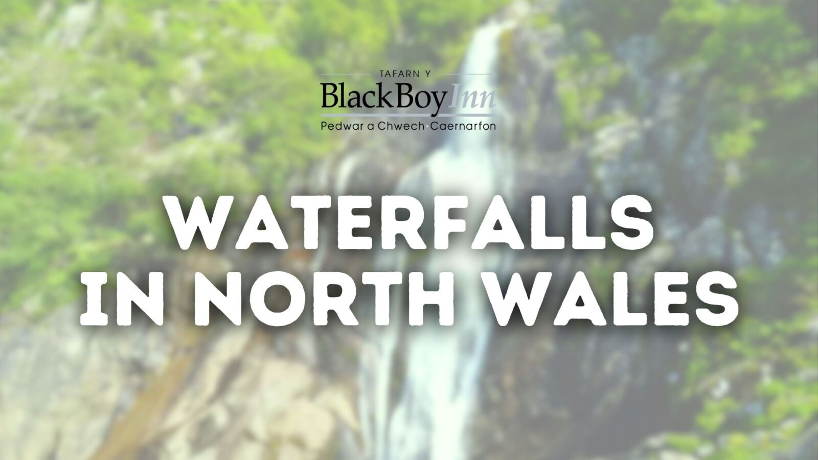 waterfalls in north wales Waterfalls in North Wales blog header graphic over a forest backdrop - Black Boy Inn