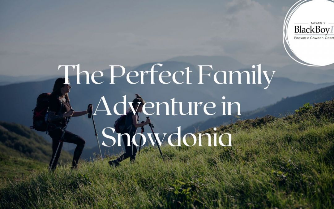 How to Have the Perfect Family Adventure in Snowdonia