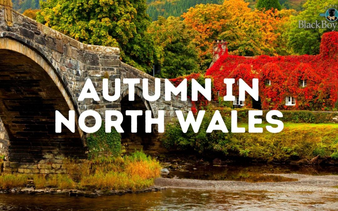 Discover Spectacular Autumn Destinations in Wales